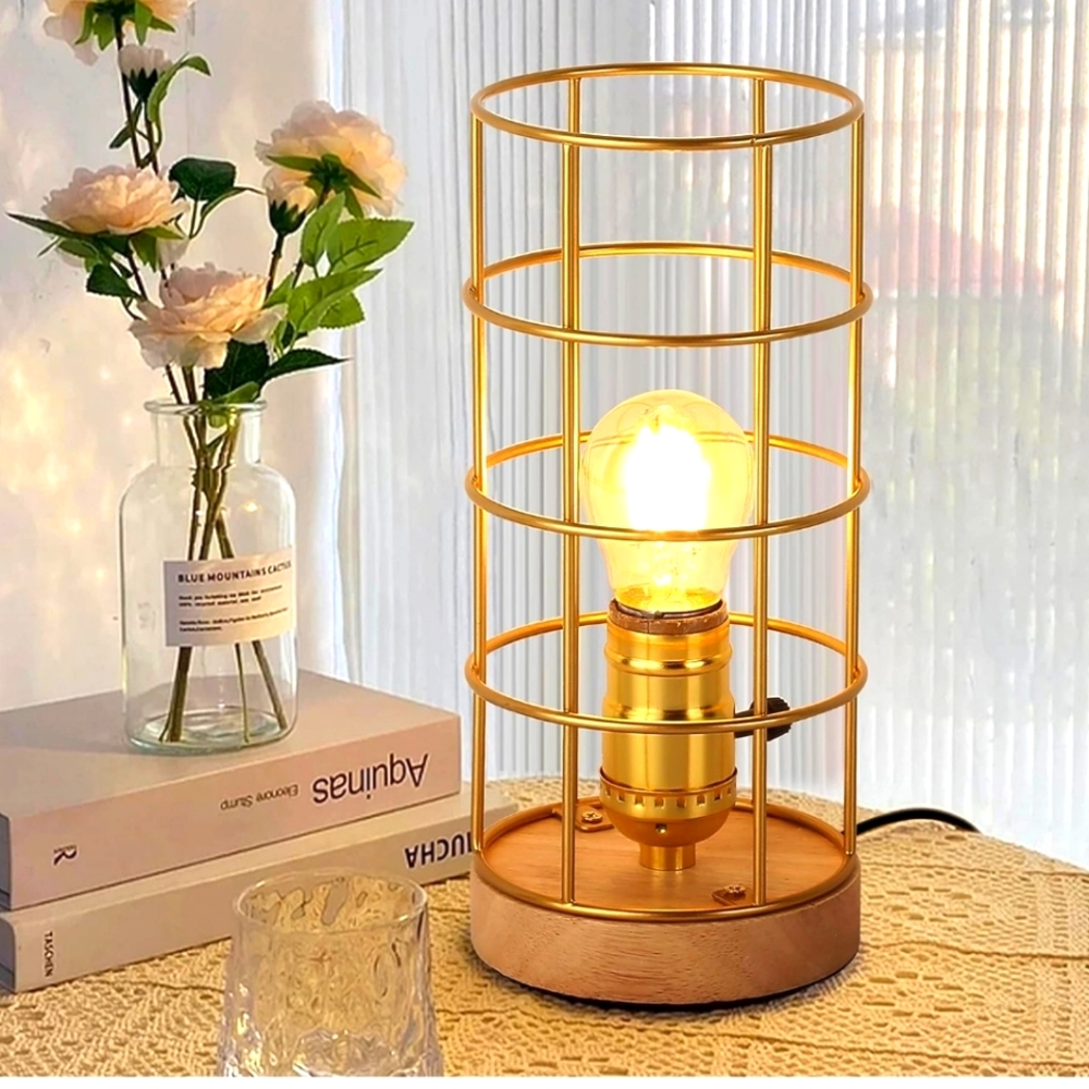 Last Chance to Buy, Brass Cage caged rustic Lamp,NO OFFERS